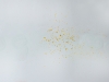 Petri-Pollen