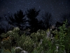 1_starburst4 1_starburst4