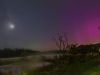 2_thorn_Aurora 2_thorn_Aurora