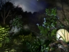 3_garden3 3_garden3