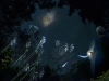5_moon_inHand 5_moon_inHand