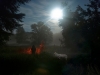 Full-Moon-Sheep-Meadow