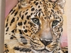 1-Amur-Leopard-Laura-Beard
