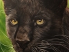 2-Panther-Laura-Beard