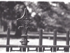 New-Brunswick-Fence