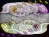 Xray-Small-Creature-Yin-Yang