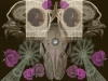 Xrayed-Memories-of-a-Friend