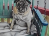 Bonzo