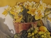 Daffodils-Fruit