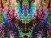 Bennett_M_QuarantineB…ra_MixedMedia