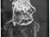 kohl_neil_krampuslauf_26 kohl_neil_krampuslauf_26