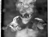 kohl_neil_krampuslauf_5 kohl_neil_krampuslauf_5