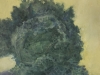 Savoy-Cabbage-6-300dpi
