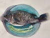 Tilapia-on-a-Turquoise-Plate-4-300dpi