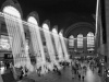 Terminal Rays