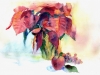 9.Dressel_Red_Poinsettia 9.Dressel_Red_Poinsettia
