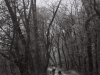 Couple-Fishing