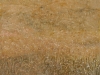 Rice-Field