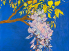 Wisteria