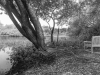 suzette_dushi-1