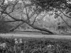 suzette_dushi-4