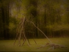Woods-USA