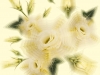 FRACTAL-2-series-UNIVERSE-2015-Pigment-print-100x100-сm-50x50-cm