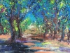 Path